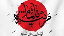 آلبوم