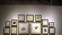 Inja Gallery Hosts Habib Moradi Art
