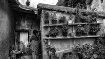 Iranian photographers Mehdi Kazemi, Kiarang Alai win FIAP Gold Medals at Kyrgyzstan exhibit