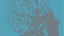 “Wet” wins award at Flickers’ Rhode Island filmfest