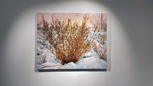 See Painting by Iman Sadeghi at Farmanfarma Gallery